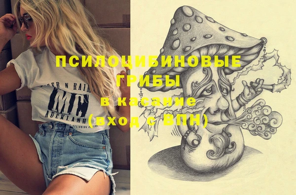 Альфа ПВП Магадан